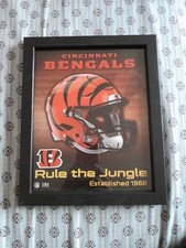 Cincinnati Bengals Cadre Photo