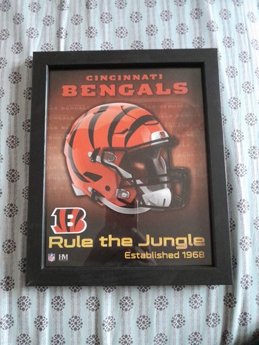 Cincinnati bengals cadre photo - bengals,