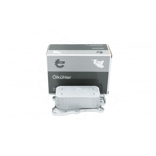 Radiateur refroidisseur - radiateur,