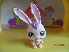 Petshop Lapin #1845
