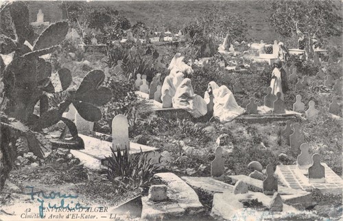 Alger algerie cimetiere arabe - algerie,