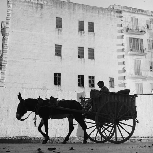 Photo papier argentique - photo,