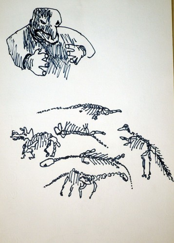 Rosa hervé dessin - rosa,