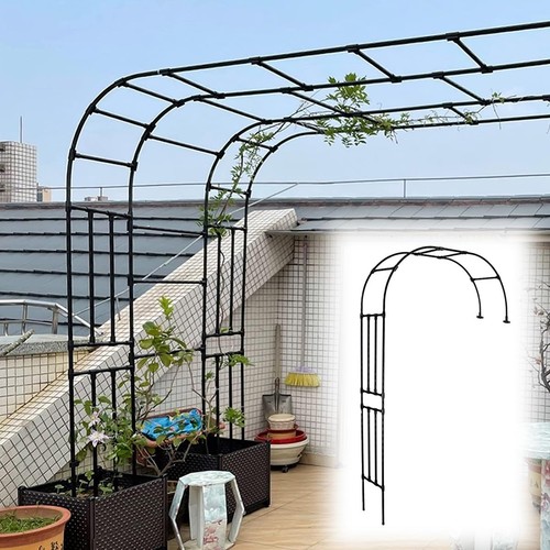 Arche jardin rosiers - jardin,