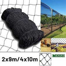 Jardin Anti Oiseau Protection