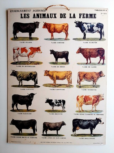 Ancienne affiche scolaire - ancienne,
