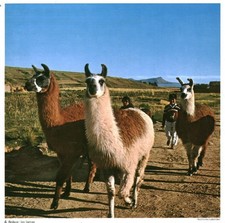 Publicité ancienne Chèque