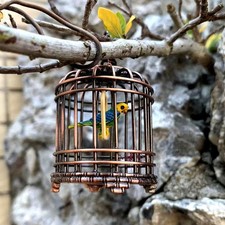 Cage oiseaux décorative - À,