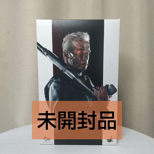 Hot toys mms307 terminator - hot,