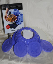 🌟TUPPERWARE Moule à