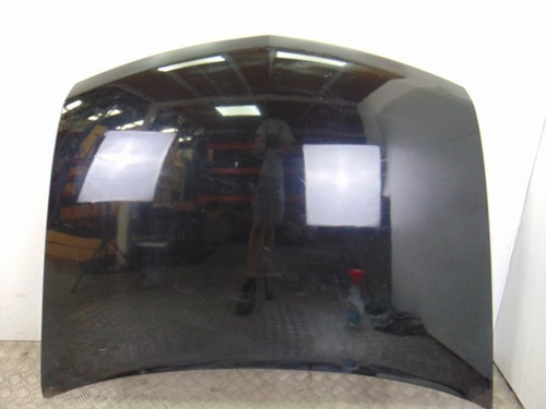 Capot pour renault vel satis - capot ,