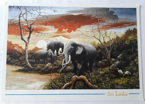 Carte postale neuve - sri, lanka