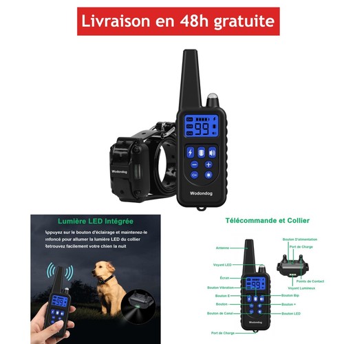 Collier dressage - de,