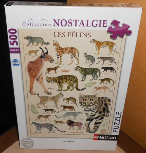 Puzzle nathan 500 - puzzle,