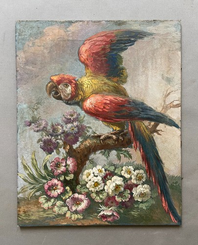 Perroquet huile sur - perroquet,,