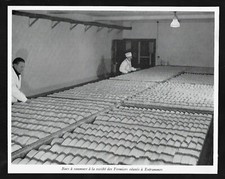 1965  --  ENTRAMMES BACS A