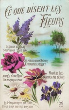 CP CE QUE DISENT LES FLEURS IRIS LILAS OEILLET ROSE ... - 34370