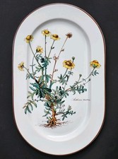 Superbe PLAT OVALE signé