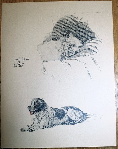 Lithographie aldin - lithographie,