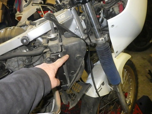 Honda xlv 600 - transalp,