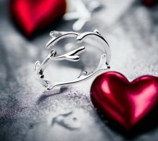 Bague Femme Branche d'arbre  Anneaux  Celtique  Redimentionnable  en Argent S925