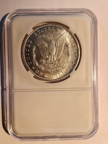 Magnifique reproduction morgan - reproduction,