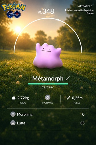 Pokémon métamorph ditto - métamorph,
