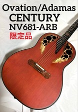 Acoustic Electric Guitar