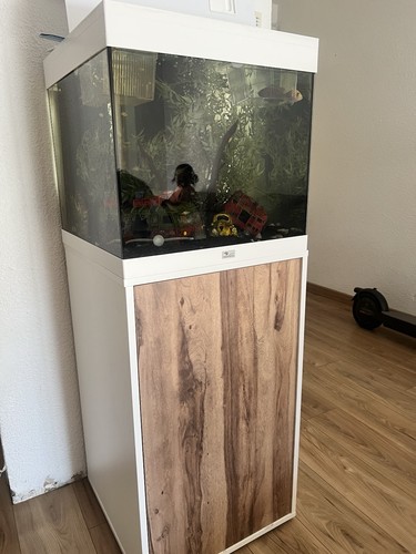 Aquarium aquatlantis complet - aquatlantis,
