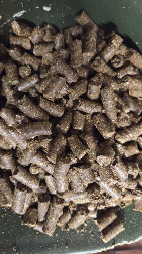 10kg pellets carpe 100 - %,