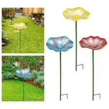 Bain D'Oiseaux Mangeoire