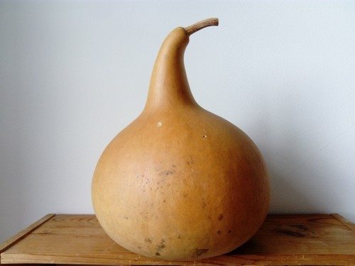 Grosse calebasse - grosse,