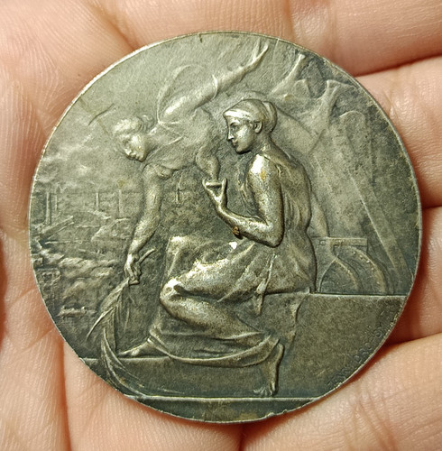 Medaille bronze henry dropsy - bronze,