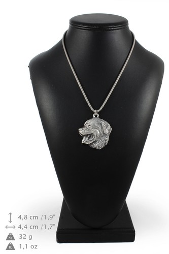Bouvier bernois collier en - 2,