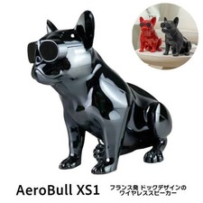 Aerobull Xs1 Bluetooth Speaker