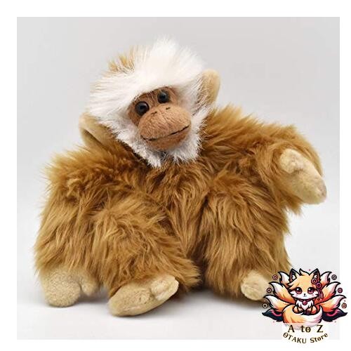 Nouveau jouet peluche - jouet,