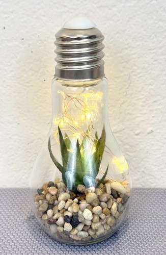 Led light bulb succulent - led,