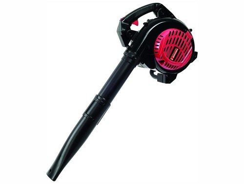 Aspirateur souffleur 1000 - souffleur, w