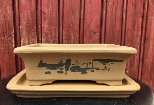 Pot bonsaï avec - pot,