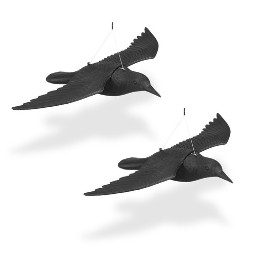Corbeau anti pigeon - corbeau, anti-pigeon