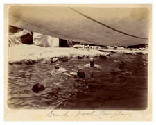 Hommes dans un piscine