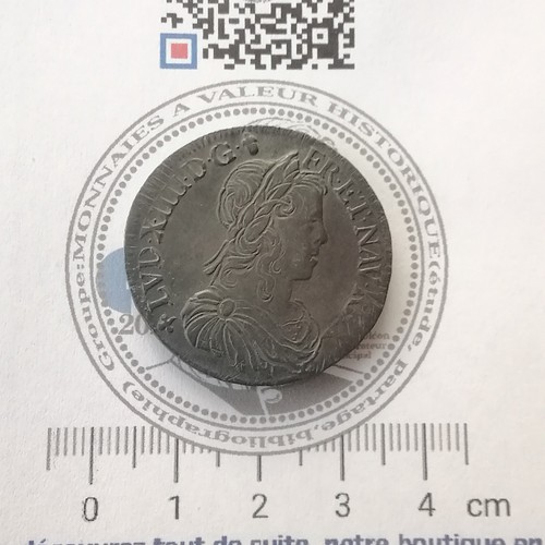 Louis xiv demi - xiv, portrait