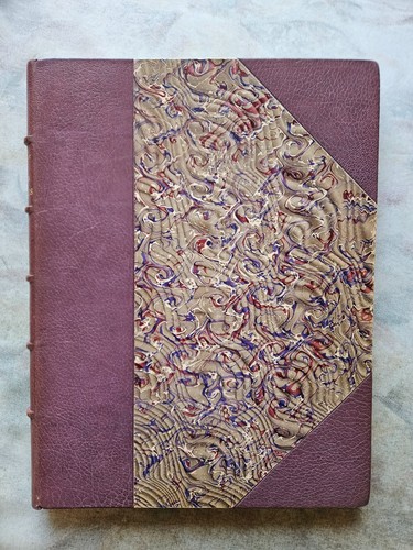 éo curiosa dessin - curiosa, signé