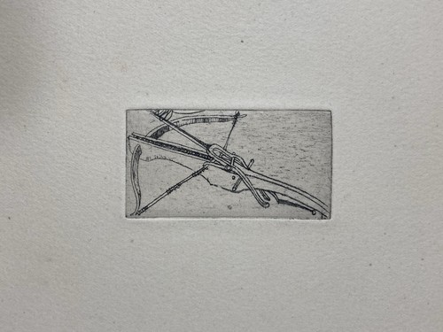 žibuntas mikšys gravure - Žibuntas,