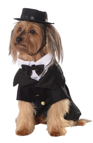 Rubies costume pour chien - rubies,