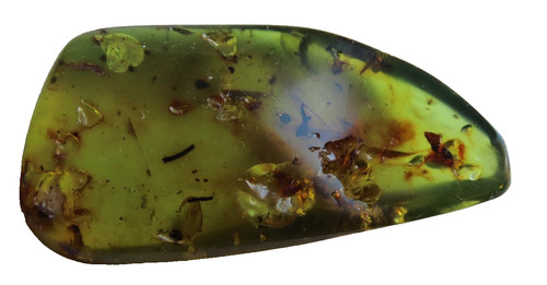 Ambre copal teinte jaune/vert