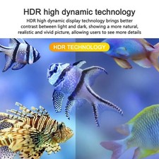 Mini Projector 1080P Full HD