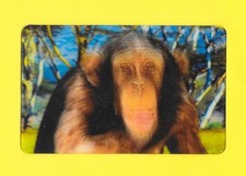 Carte Cora / Match - N°02/44