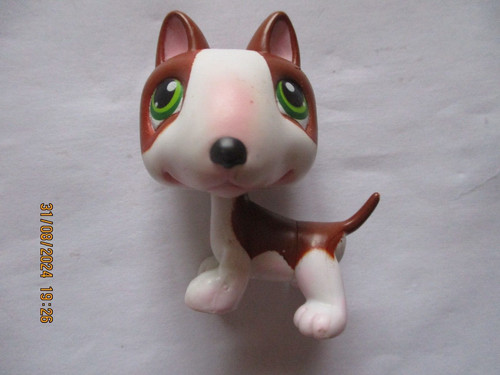 Petshop chien bull terrier - chien, bull-terrier