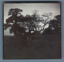 UK, Weston Village, in the